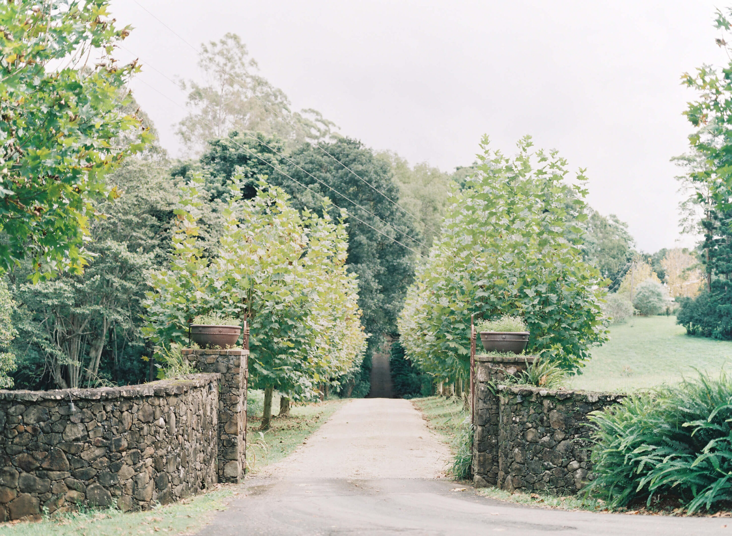 Romantic Byron Bay wedding at Deux Belettes