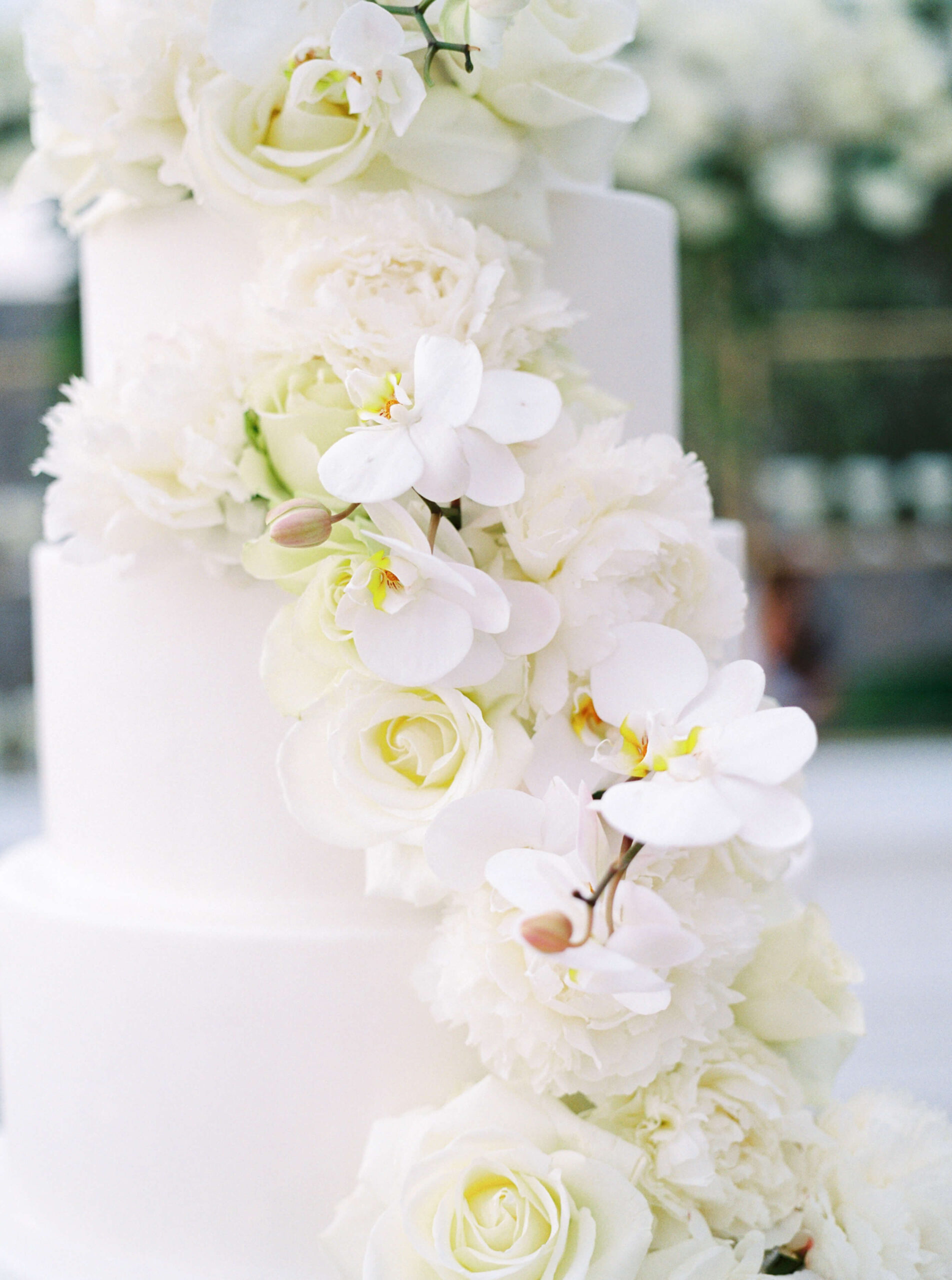 White rose Wedding cake