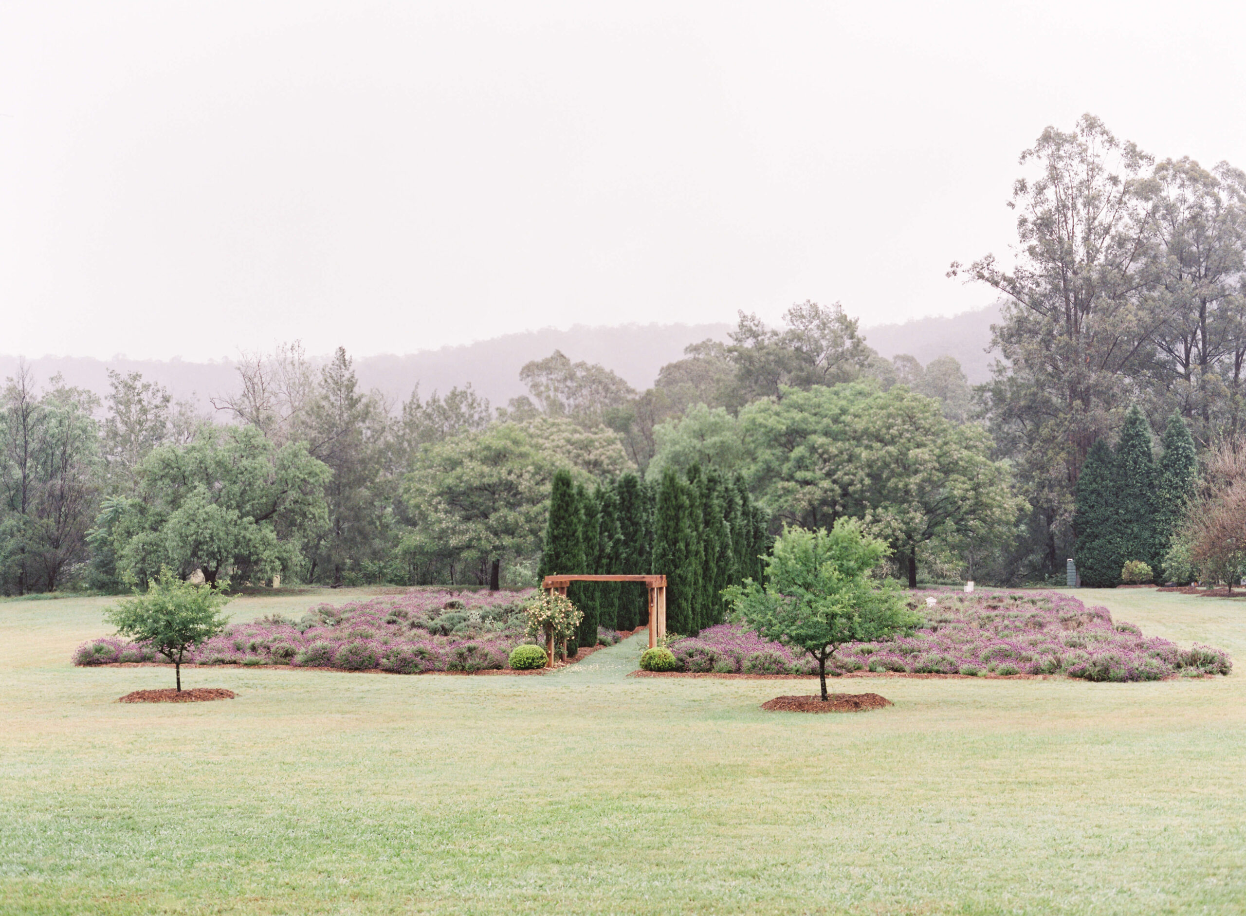 Wedding in Lavender Fiel