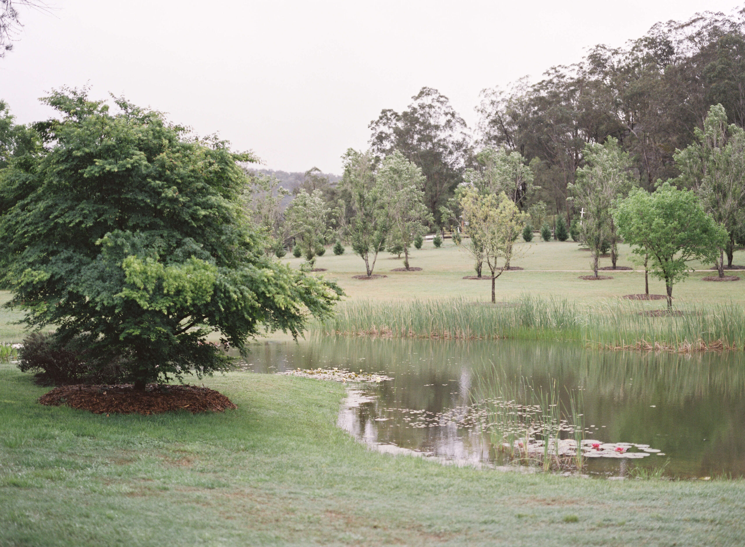 Redleaf Wollombi