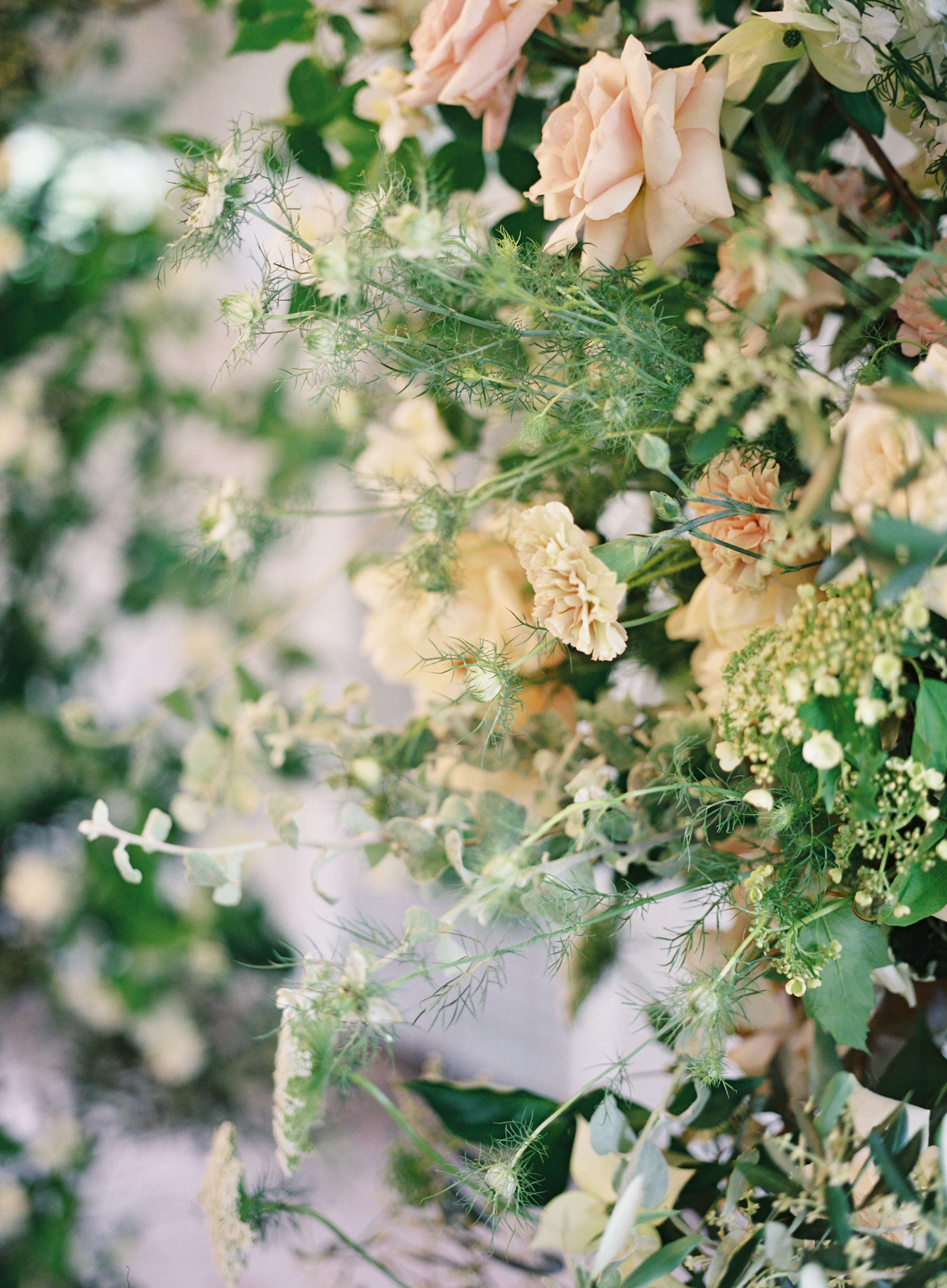 Scotland Flavoured Wedding in Australia