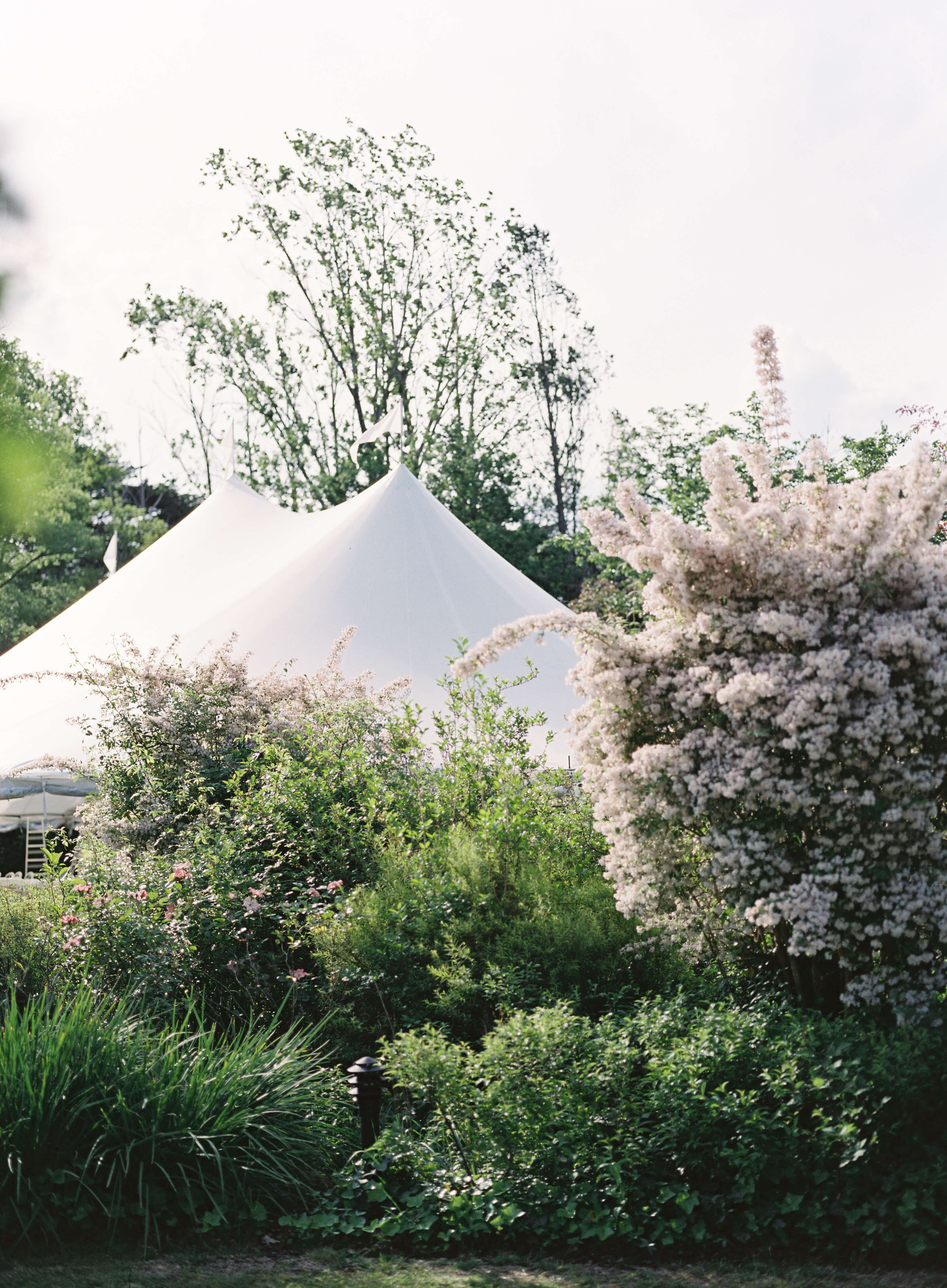 Scotland Flavoured Wedding in Australia