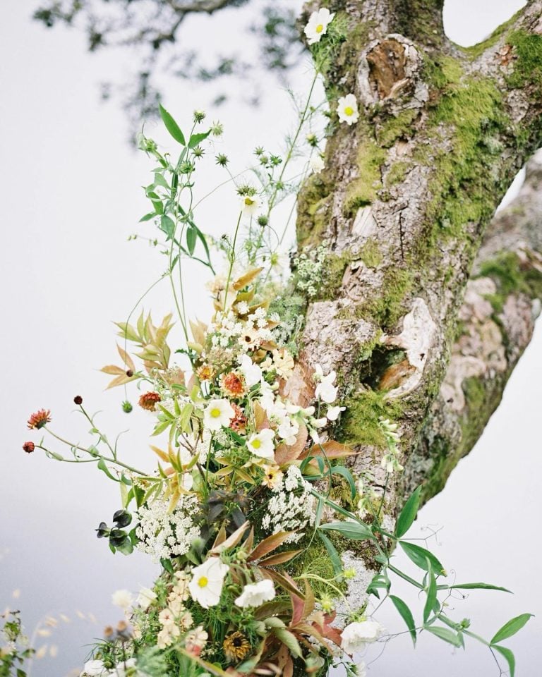 Instagram post from kerstinauerphoto. This post is in position 2.